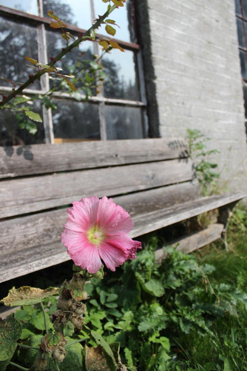 Het Aambeeld Bed & Breakfast Wanroij Luaran gambar